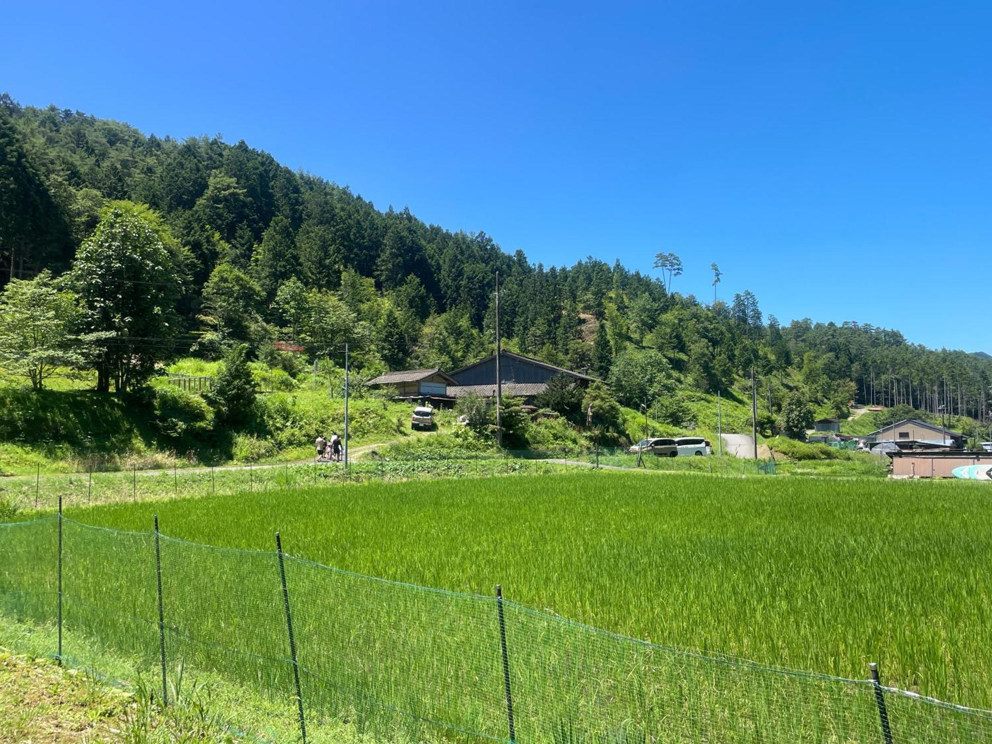 Farm stay Soranoie